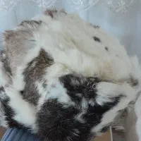 کلاه روسی پوست خرگوش