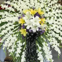 تاج گل تحریم