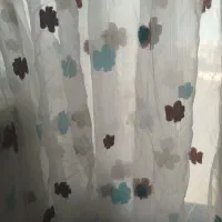 پرده درحد نو