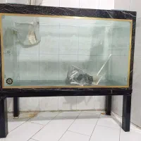 آکواریوم بزرگ