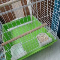 قفس پرنده بزرگ درحد نوو تمیز|لوازم جانبی حیوانات|تهران, بهار|دیوار