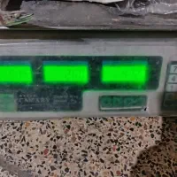 ماهی جش و عروس|ماهی|بندر ماهشهر, |دیوار