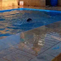 باغویلا کلاسیک /آببرقگازشهری/ کردان سهیلیه 550M|فروش خانه و ویلا|چهارباغ, |دیوار