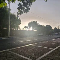 پیاده روی