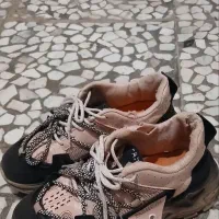 ۳ جفت کفش|کیف، کفش، کمربند|باغستان, |دیوار