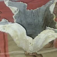 ساخت گلدان با سفارش شما
