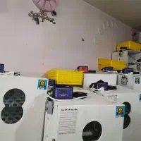 دستگاه جوجه کشی برای سنین از 10سال تا مسن ترین ها|لوازم جانبی حیوانات|تهران, ستارخان|دیوار