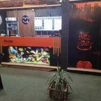 آشپز ماحر و نیروی ساده