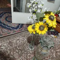 فروش گلدان و گل|گل و گیاه طبیعی|اصفهان, لاله|دیوار