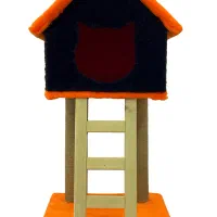 خانه و اکرچر گربه