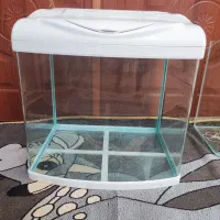 اکواریوم شرکتی شیشه خم دلسا
