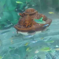 ماهی زبرا سایز بازاری