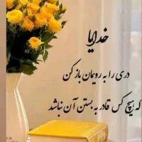 راهنمایی میکنم