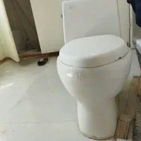 فرنگی سالم