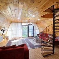 ویلا سوئیسی لوکس|اجارهٔ کوتاه‌مدت ویلا و باغ|اسالم, |دیوار