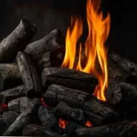 ذغال کبابی مخصوص عید قربان