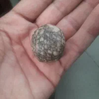 مهره|کلکسیون اشیاء عتیقه|سنندج, |دیوار