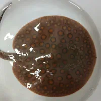 پلکو سفره آروانا آراپیما ماهی