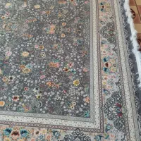 دوتخته فرش 9 متری، نو
