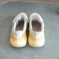 کفش|کیف، کفش، کمربند|گنبد کاووس, |دیوار