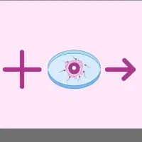 درآمد قطعی خانم ها با اهدای تخمک ورحم جایکَزین