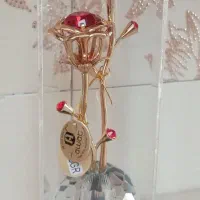 گل طلا کادویی نو