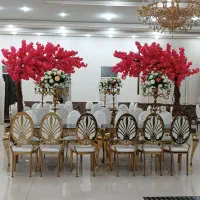 باغ تالار مجلل آپادانا