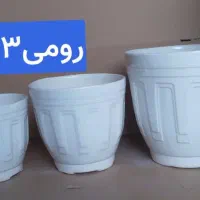 گلفروشی بهشت .ماهشهر|گل و گیاه طبیعی|بندر ماهشهر, |دیوار