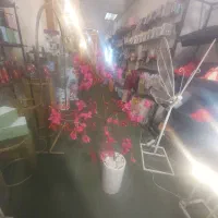 گلدان نیمه طبیعی