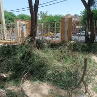 باغبانی|خدمات باغبانی و درختکاری|قم, هنرستان|دیوار