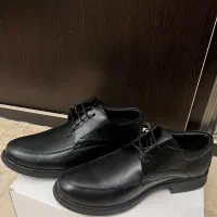 کفش سایز ۴۳