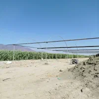 جوشکاری گلخانه|خدمات پیشه و مهارت|کهنوج, |دیوار