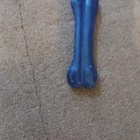 وسایل پت خانگی|لوازم جانبی حیوانات|بروجرد, |دیوار