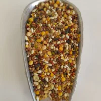 پت شاپ|لوازم جانبی حیوانات|فردوس (خراسان), |دیوار