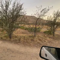 2قطعه زمین خونه باغ در کوسه