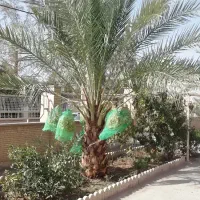 اجاره منزل