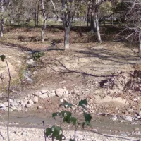 باغ فروشی 500متری روستای آل|فروش زمین و ملک کلنگی|مشهد, کارده|دیوار