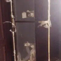 جنس استیل ۳۰۴ رنگ کروم|آینه|مشهد, حسینآباد|دیوار