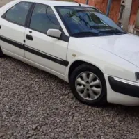 زانتیا سفید