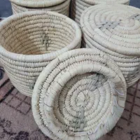 جا حبوباتی  با نخل خرما درسته