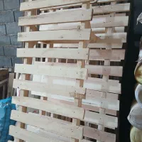 کفی تخت زیر تختی تمام چوب|تخت و سرویس خواب|شیروان (خراسان), |دیوار