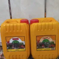 روغن نباتی ۱۰لیتری