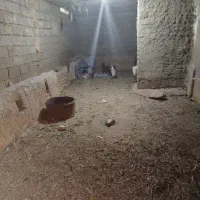 به یه نفر آقا یا خانم کارآفرین نیازمندم