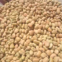 لوبیا آشی محلی (لوبیا بوره)