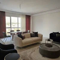 ۲۳۵ متر ۴ خواب ۳ مستر ۳ پارکینگ مشاعات ابی|فروش آپارتمان|تهران, شهرک هما|دیوار
