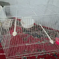 سه عدد قفس با قیمت مناسب|لوازم جانبی حیوانات|سبزوار, پاسداران|دیوار