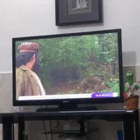 تعمیرات تلویزیون در محل گلبهار