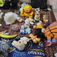 دنیای بچه عروسک