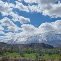 فروش ۱.۵هکتار زمین کشاورزی