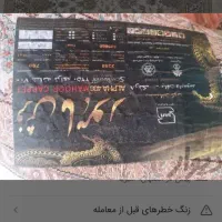 فرش گرد نو|فرش|اصفهان, شفق|دیوار